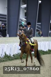 25R13_07860 thumbnail
