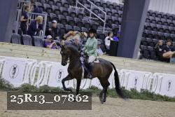 25R13_07862 thumbnail