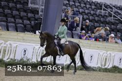 25R13_07863 thumbnail