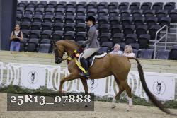 25R13_07888 thumbnail