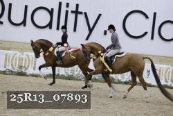 25R13_07893 thumbnail