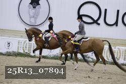25R13_07894 thumbnail