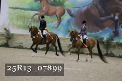 25R13_07899 thumbnail