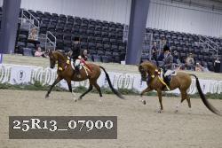 25R13_07900 thumbnail