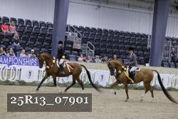 25R13_07901 thumbnail