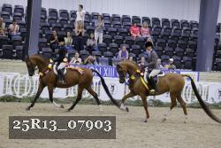 25R13_07903 thumbnail