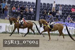 25R13_07904 thumbnail
