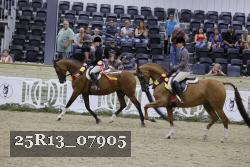 25R13_07905 thumbnail