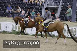 25R13_07906 thumbnail