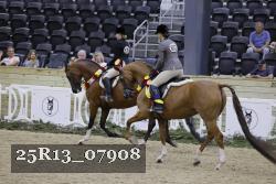 25R13_07908 thumbnail