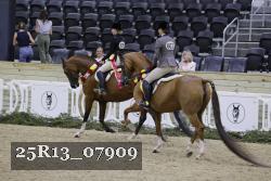 25R13_07909 thumbnail