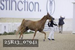 25R13_07941 thumbnail