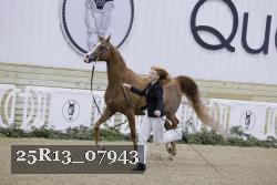 25R13_07943 thumbnail