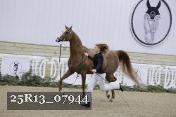 25R13_07944 thumbnail