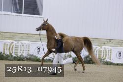 25R13_07945 thumbnail