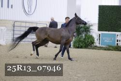 25R13_07946 thumbnail