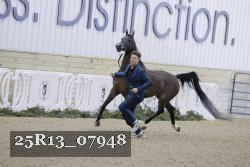 25R13_07948 thumbnail