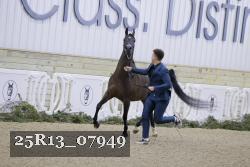 25R13_07949 thumbnail