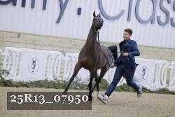 25R13_07950 thumbnail