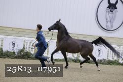 25R13_07951 thumbnail