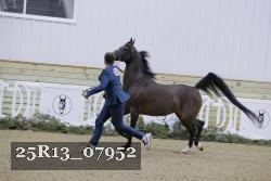 25R13_07952 thumbnail