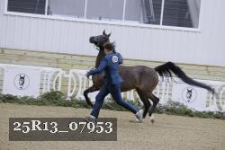 25R13_07953 thumbnail