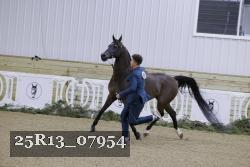 25R13_07954 thumbnail