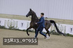 25R13_07955 thumbnail