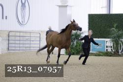 25R13_07957 thumbnail