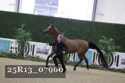 25R13_07960 thumbnail