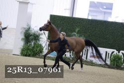 25R13_07961 thumbnail