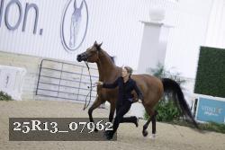 25R13_07962 thumbnail