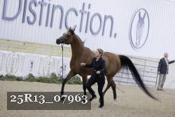25R13_07963 thumbnail