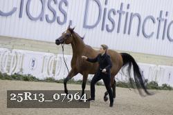 25R13_07964 thumbnail