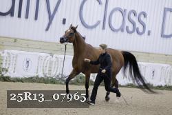 25R13_07965 thumbnail