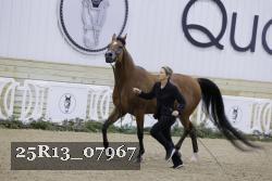 25R13_07967 thumbnail