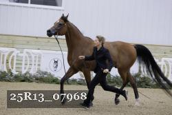 25R13_07968 thumbnail