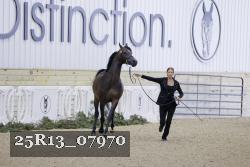 25R13_07970 thumbnail