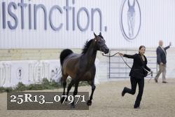 25R13_07971 thumbnail