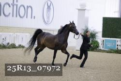 25R13_07972 thumbnail
