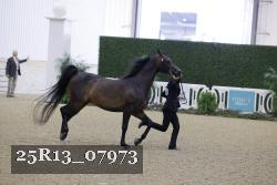 25R13_07973 thumbnail