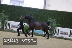 25R13_07974 thumbnail