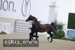 25R13_07976 thumbnail