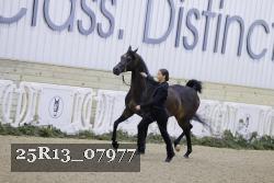 25R13_07977 thumbnail