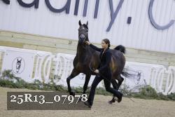 25R13_07978 thumbnail