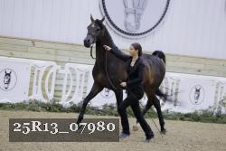 25R13_07980 thumbnail