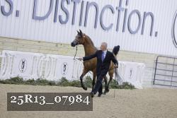 25R13_07984 thumbnail