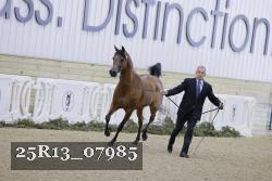 25R13_07985 thumbnail