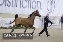 25R13_07986 thumbnail