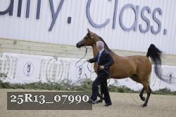 25R13_07990 thumbnail